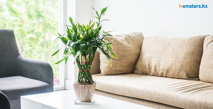 Қолжетімді бағалар: Астананың IV класстағы танымал жаңа ғимараттары (эконом)