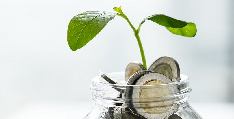 Мемлекеттен максималды бонусты қалай алуға болады