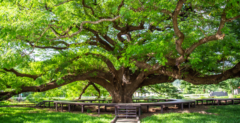 В Астане между ТРЦ «Керуен» и ЖК «Северное сияние» построят сквер
