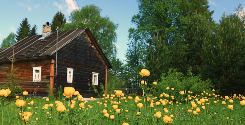Қазақстанда жеке тұрғын үй құрылысы үшін коттеджді қалай ұйымдастыруға болады
