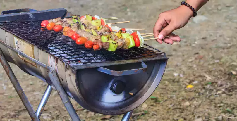 Разведение костров на участке: как пожарить шашлык и не получить за это штраф