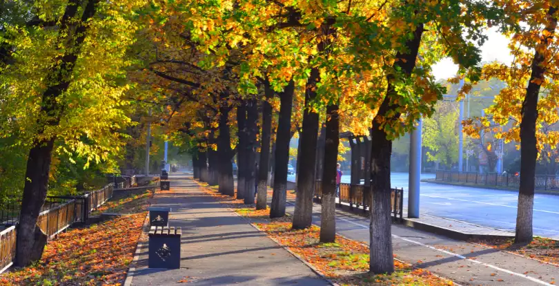 Алматыда көшелердің атын өзгерту: 156 атаусыз көшеге атау беріледі