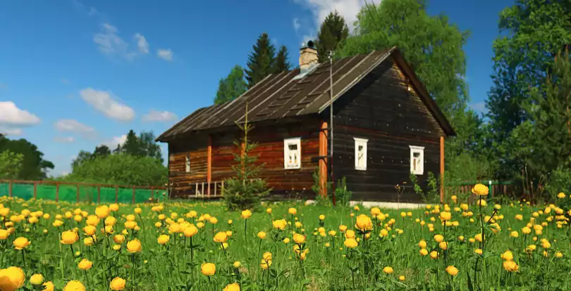 Присоединение дачных массивов в Алматинской области: что изменится для владельцев