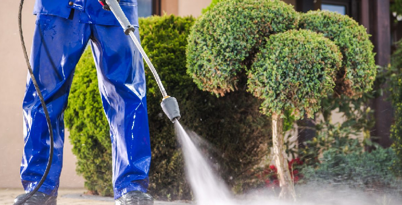 Приводим участок в порядок: выбираем мойку высокого давления