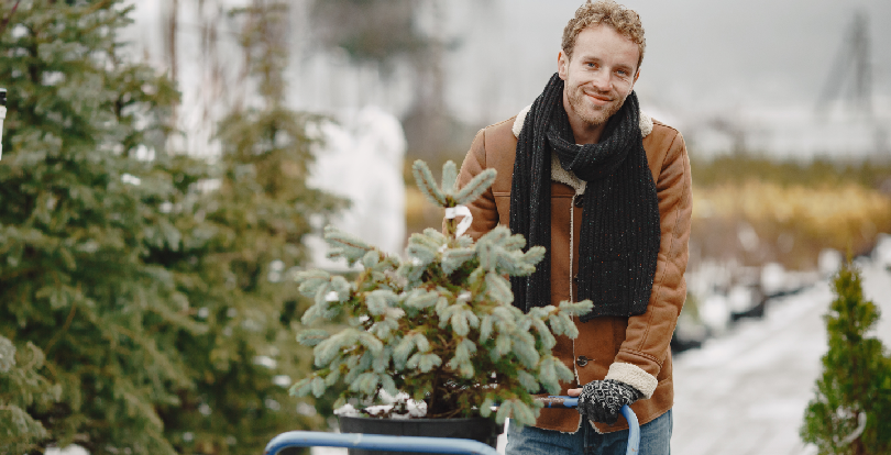 Как подготовить участок в частном доме к холодам