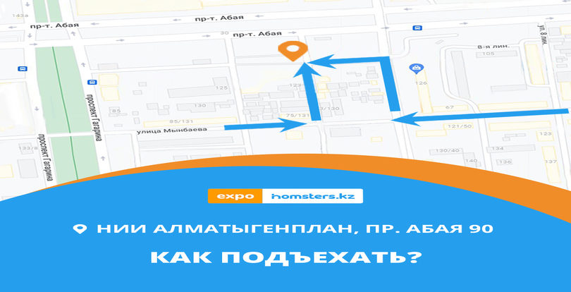 #EXPOHOMSTERS2022 қазірдің өзінде осы демалыс күндері - маршрутыңызды алдын ала жоспарлаңыз