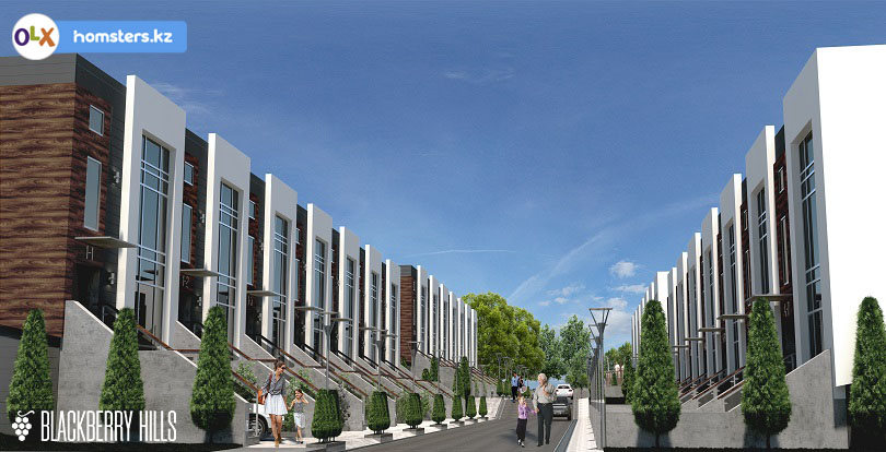 BlackBerry Hills — интервью с застройщиком: ответы на важные вопросы