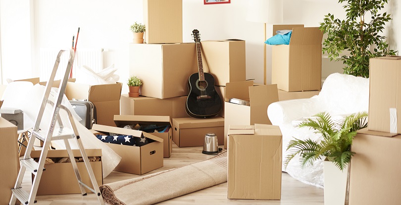 Новая квартира: чек-лист вещей, которые стоит купить в первую очередь